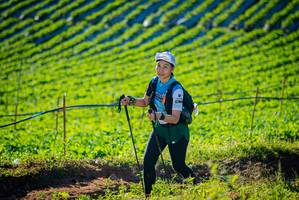 BIB: 
                            <button type="button" onclick="openModal(19160300)" class="btn btn-primary btn-sm float-right btn-popup" data-toggle="modal" data-target=".modal-high-quality">
                        <i class="fas fa-shopping-cart"></i> Add to Cart
                    </button>
                                            <button type="button" onclick="isThisMe(19160300, true)" class="btn btn-success btn-sm float-right btn-popup btn-isme hidden" data-toggle="tooltip" data-placement="bottom" title="นี่คือรูปของคุณใช่ไหม คลิกที่นี่เพื่อเอาเข้าอัลบั้ม">
                        <i class="fas fa-plus"></i> Add to album
                    </button>
                    <button type="button" onclick="isThisMe(19160300, false)" class="btn btn-warning btn-sm float-right btn-popup btn-isnotme hidden">
                        <i class="fas fa-ban"></i> Remove from album
                    </button>